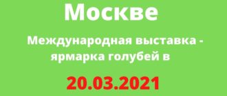 Международная выставка - ярмарка голубей в Москве 20.03.2021