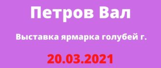 Выставка ярмарка голубей г. Петров Вал 20.03.2021