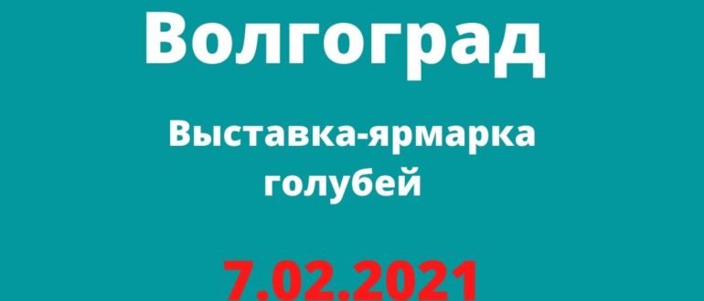 Выставка-ярмарка голубей 7.02.2021 Волгоград Россия