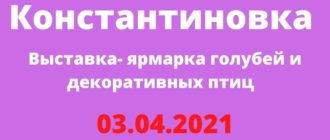 Выставка - ярмарка голубей и декоративных птиц 03.04.2021 Константиновка