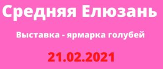 Выставка - ярмарка голубей с. Средняя Елюзань 21.02.2021