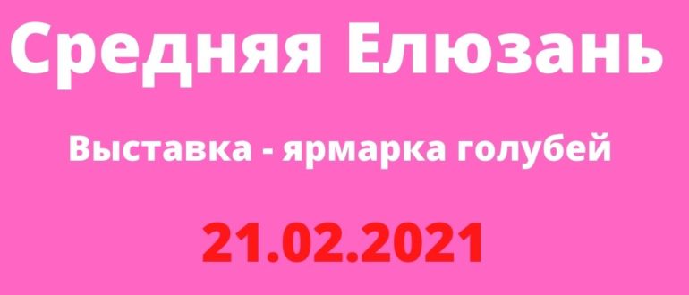 Выставка - ярмарка голубей с. Средняя Елюзань 21.02.2021