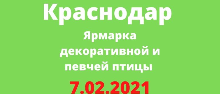Ярмарка декоративной и певчей птицы 7.02.2021 Краснодар