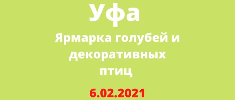 Ярмарка голубей и декоративных птиц 6.02.2021 Уфа