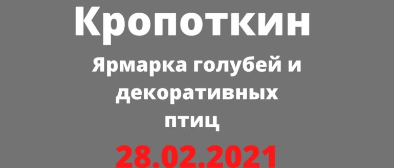 Ярмарка голубей и декоративных птиц Кропоткин