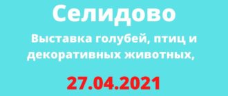 27.04.2021 Селидово