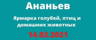 Ярмарка голубей, птиц и домашних животных 14.03.2021 Ананьев