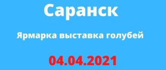 Ярмарка выставка голубей город Саранск 04.04.2021