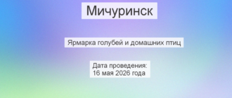 Анонс голубиной ярмарки на 2026