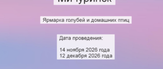 В Мичуринске пройдёт ярмарка голубей и домашних птиц